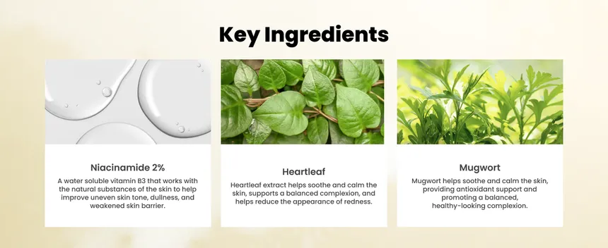  Heartleaf Skin Soothing Gel Mask Product image