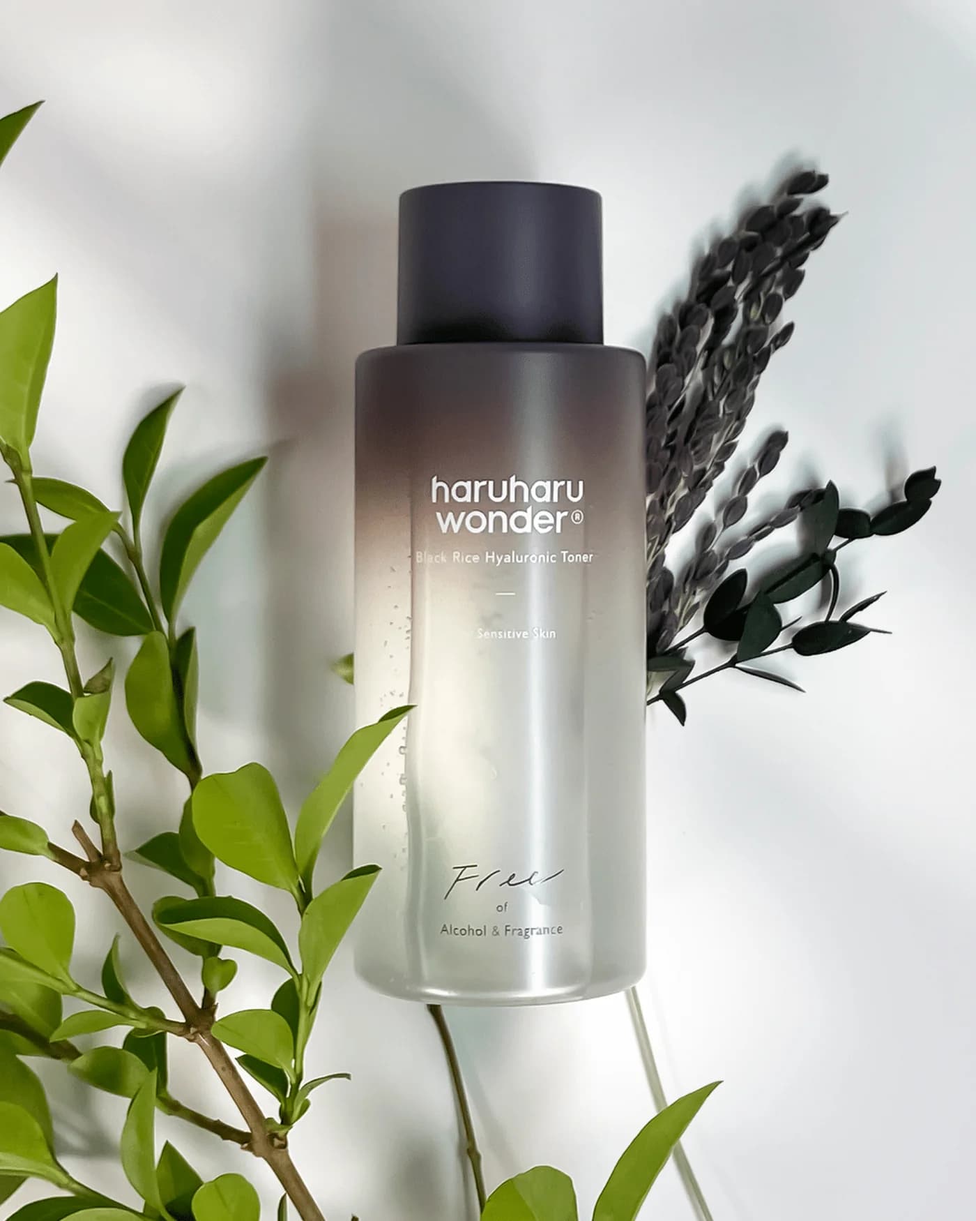 Black Rice Hyaluronic Toner Fragrance Free Texture